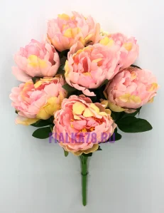 72 (34)