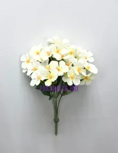 85 (12)