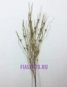 73 (68)