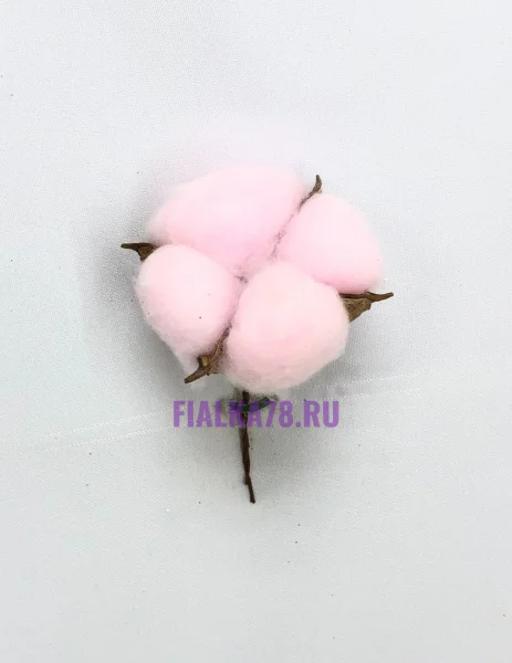 Хлопок коробочка розовый