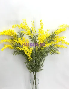 853 - 2024-03-27T170946.550