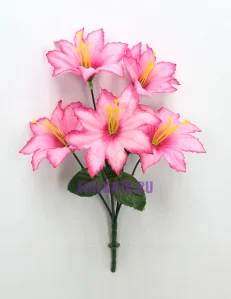 74 (25)