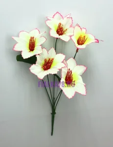 74 (34)
