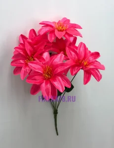 74 (100)
