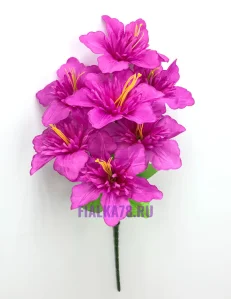 75 (11)