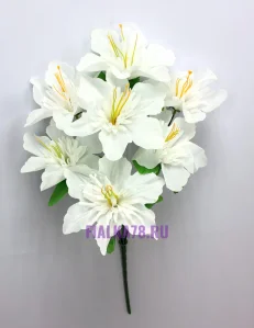 75 (14)