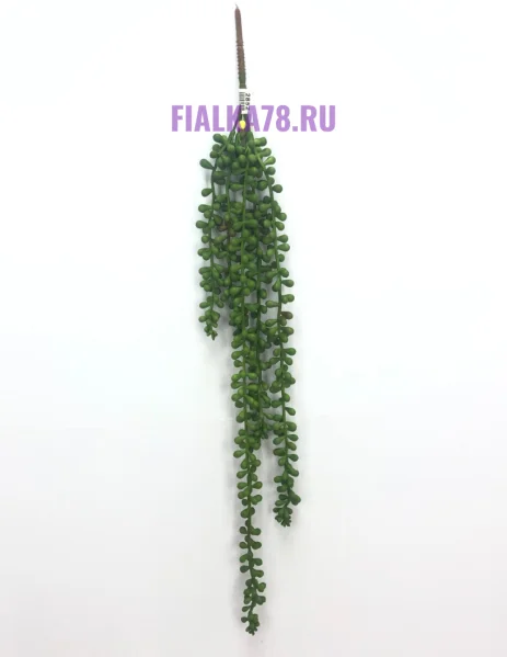 75 (42)