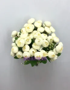 76 (72)