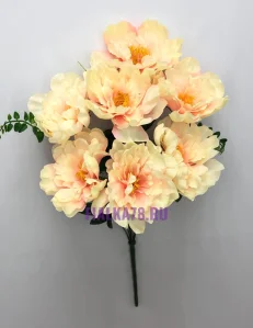 76 (79)