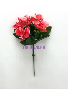 77 (2)