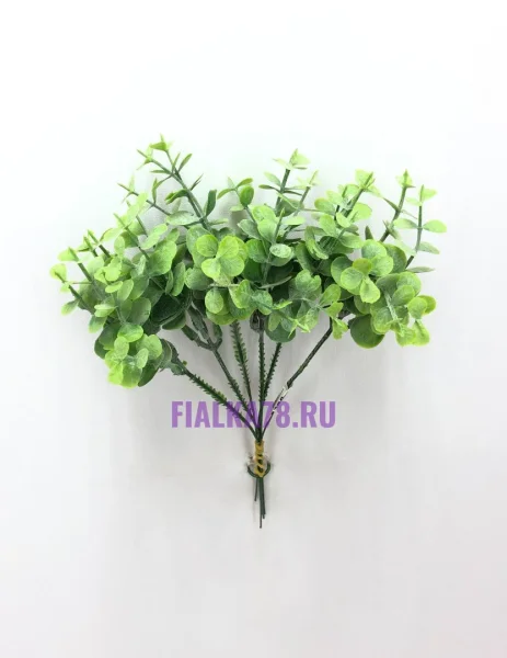 77 - 2022-08-15T153416.237