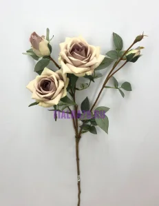 78 (1)