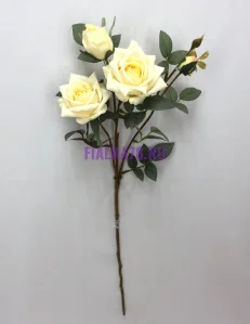 78 (5)
