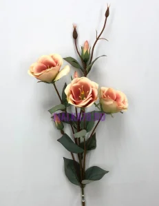 78 (16)