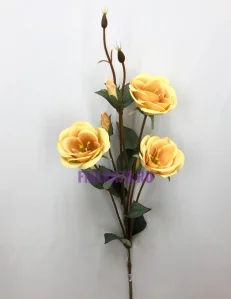 78 (18)
