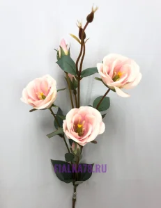 78 (20)