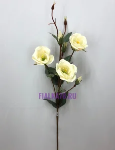 78 (21)