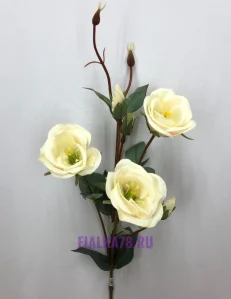 78 (22)