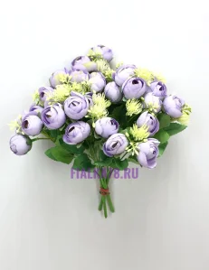 78 (27)