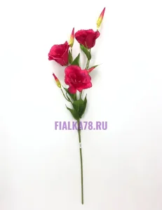 78 (80)
