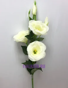78 (96)