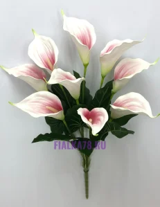 79 (46)