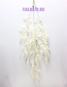 79 (69)