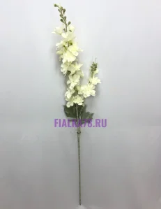 81 (29)