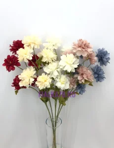 81 (32)