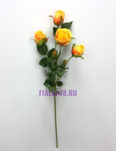81 (45)