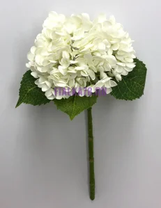 81 (67)