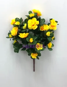82 (6)